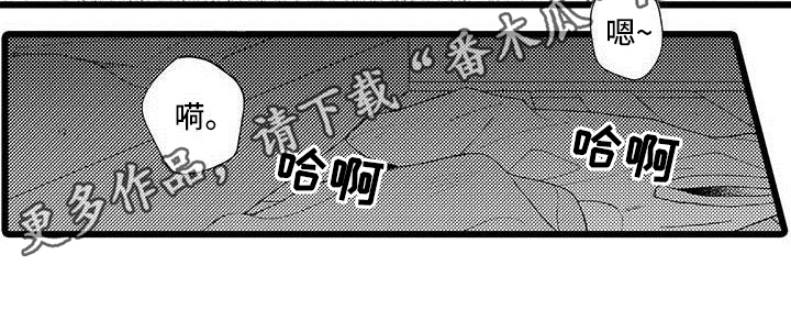 第19章：了解14