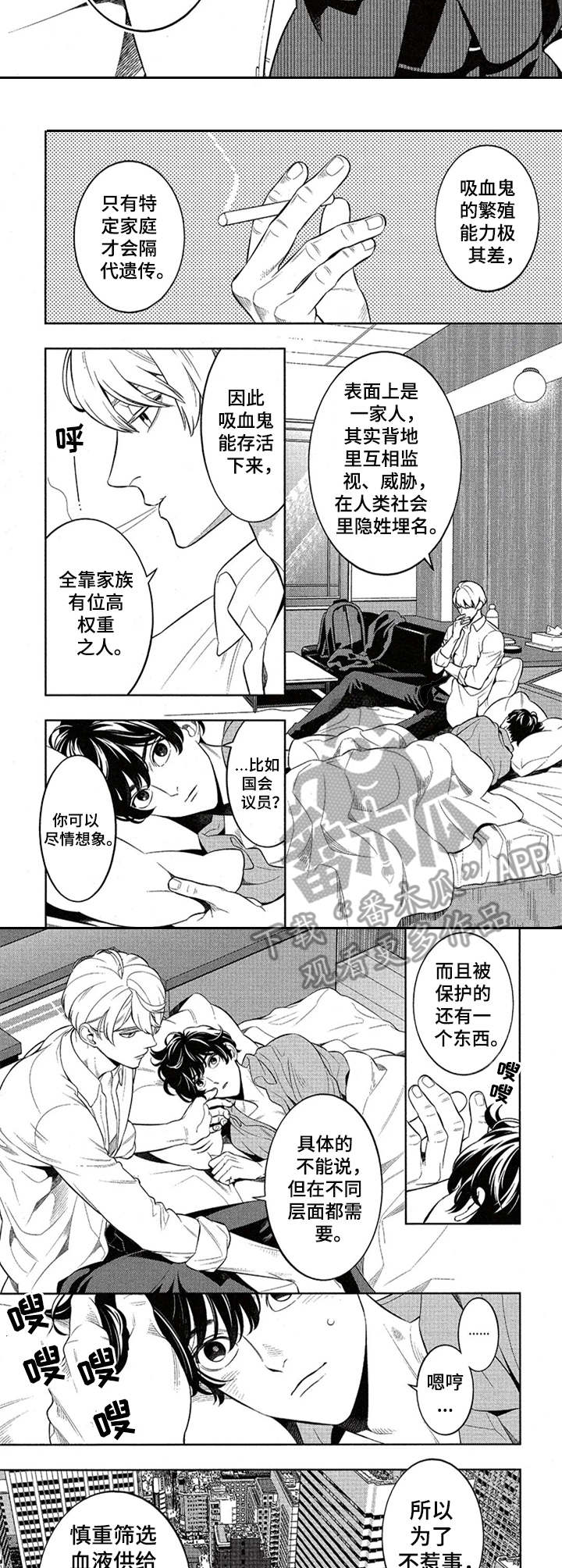 第5章：家族秘密3