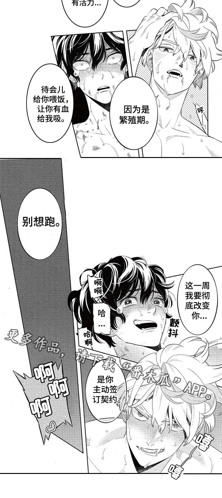 第11章：签订契约7