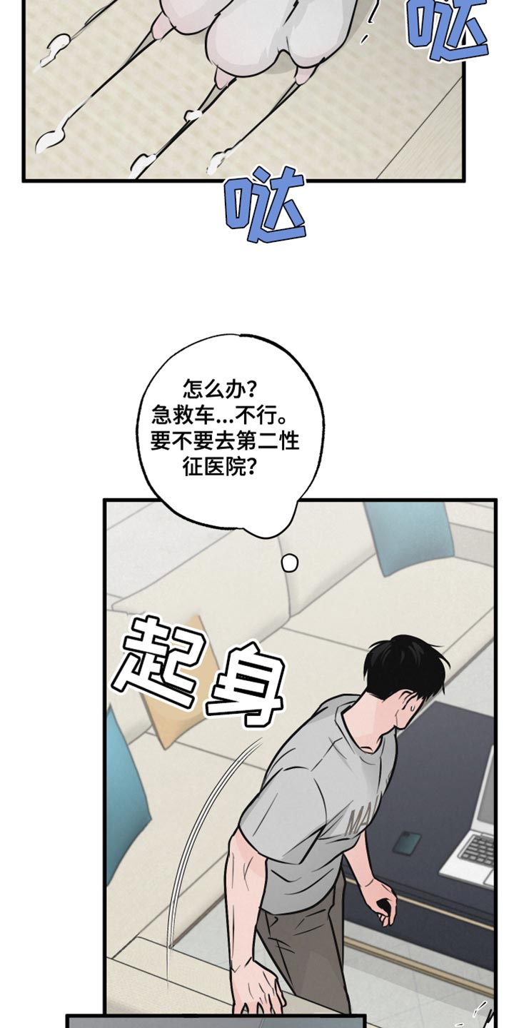 第15章：动物形状16