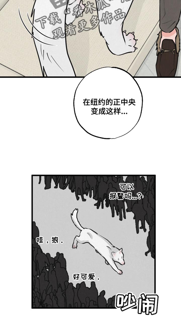 第15章：动物形状8