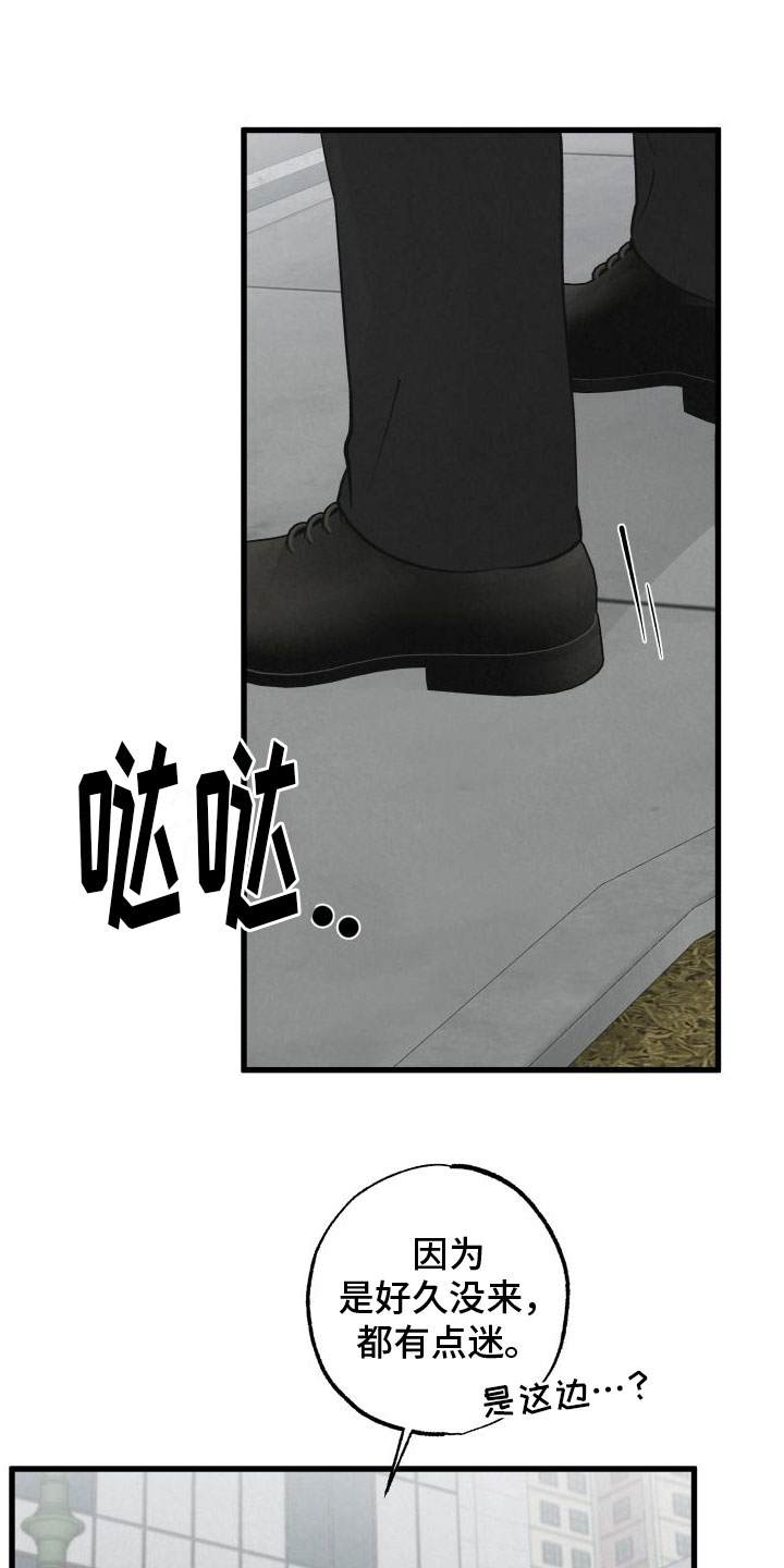 第3章：去纽约17