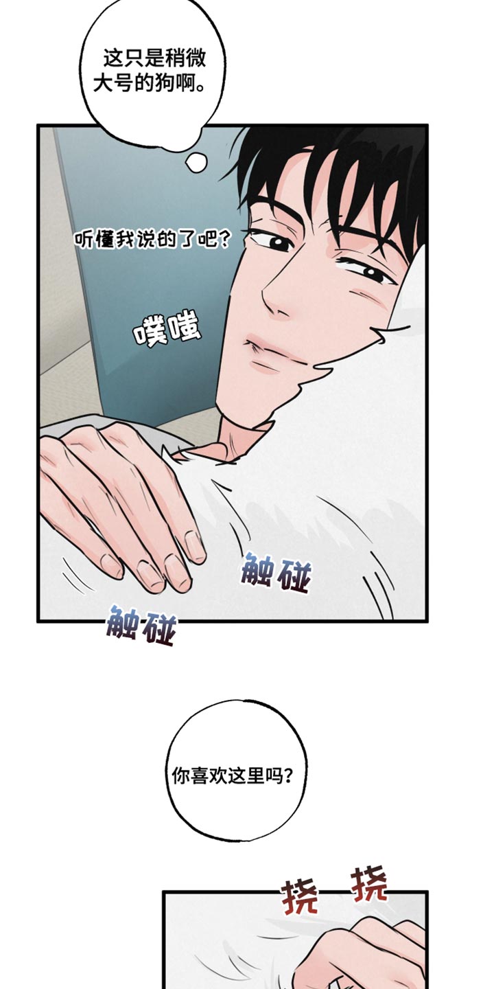 第15章：动物形状6