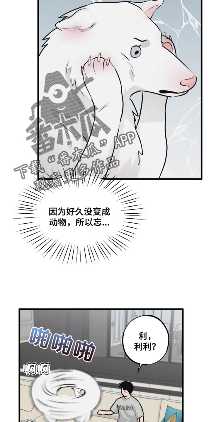 第15章：动物形状12
