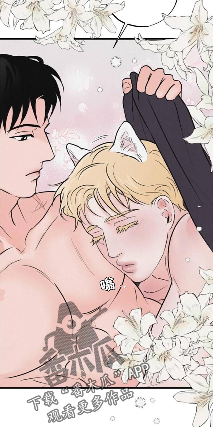 第12章：小狗7
