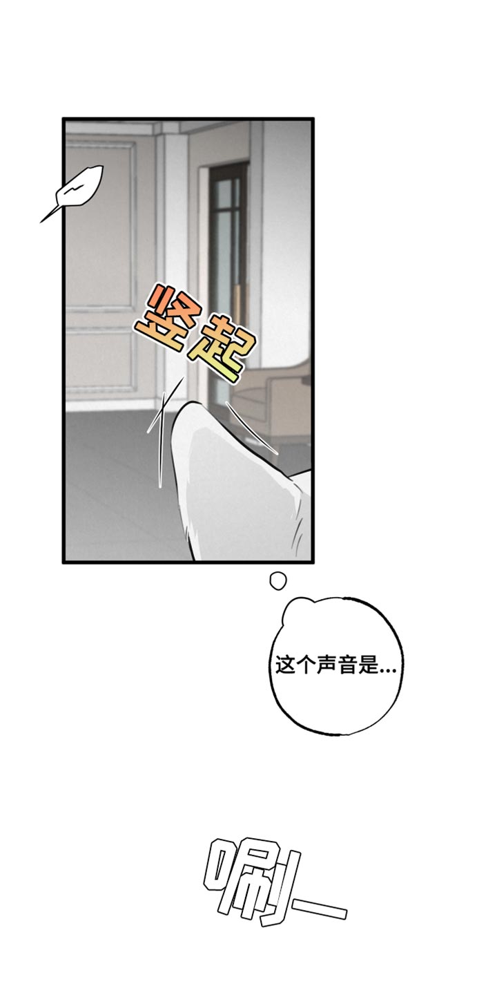 第14章：吃惊9