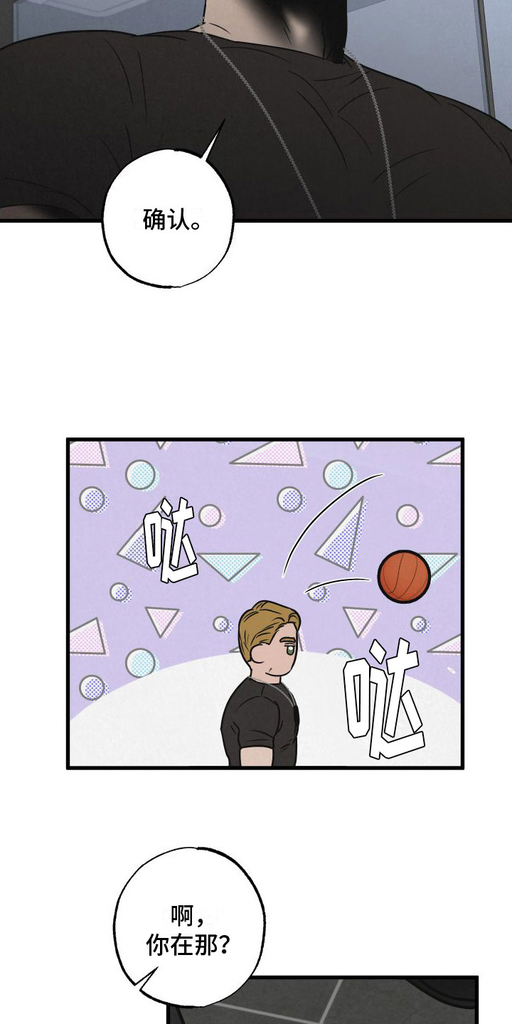 第3章：去纽约7