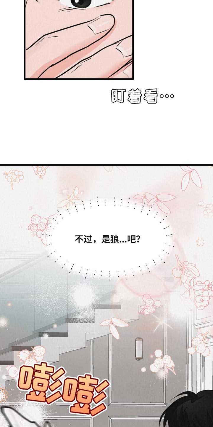 第14章：吃惊16