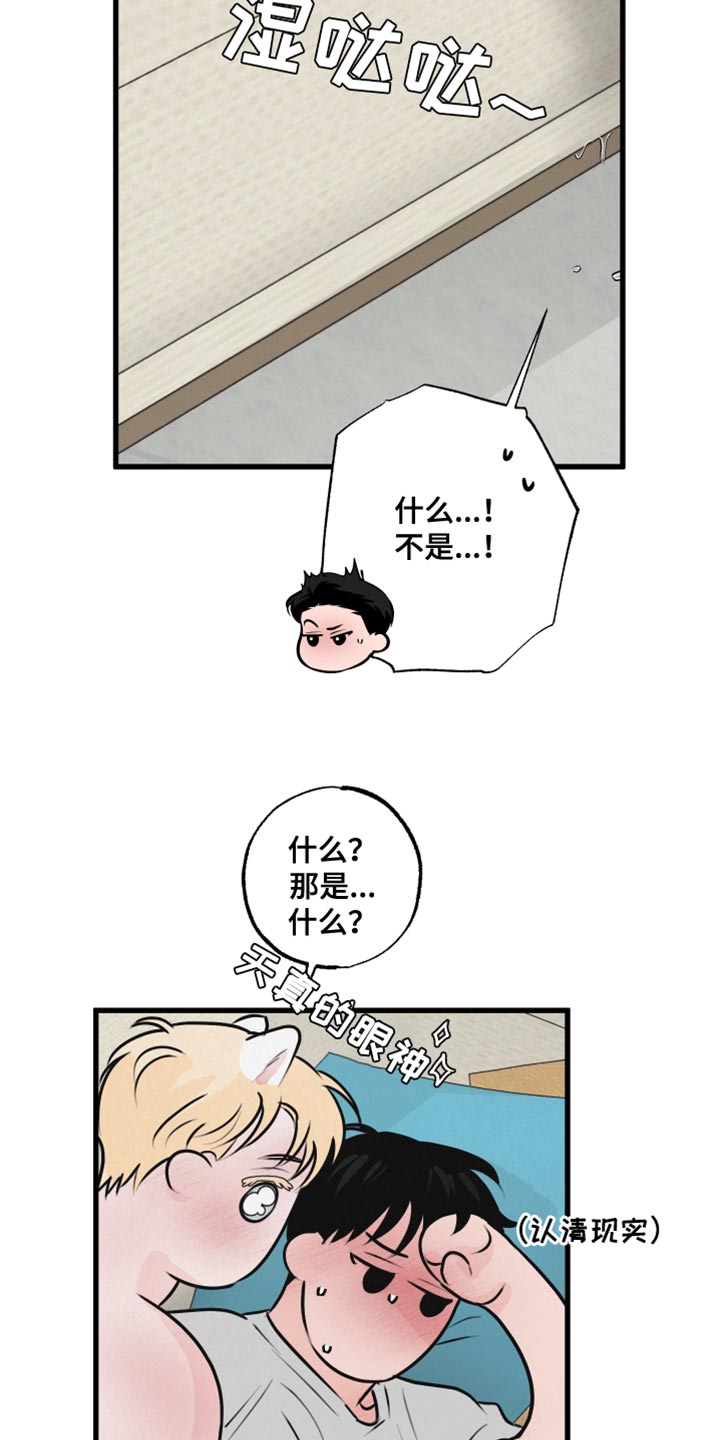第17章：再来一次21
