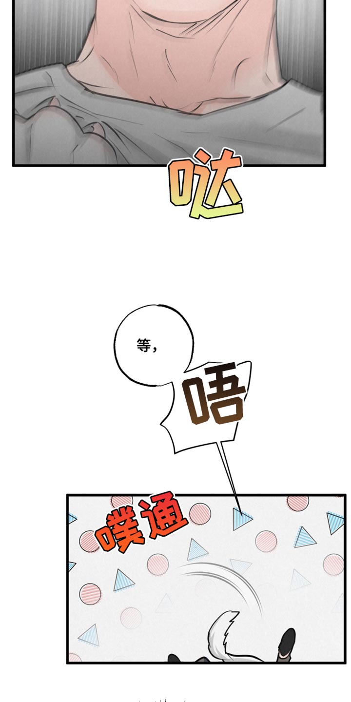 第14章：吃惊12