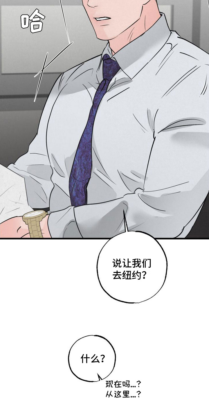 第3章：去纽约14
