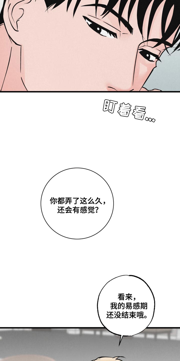 第16章：担心13