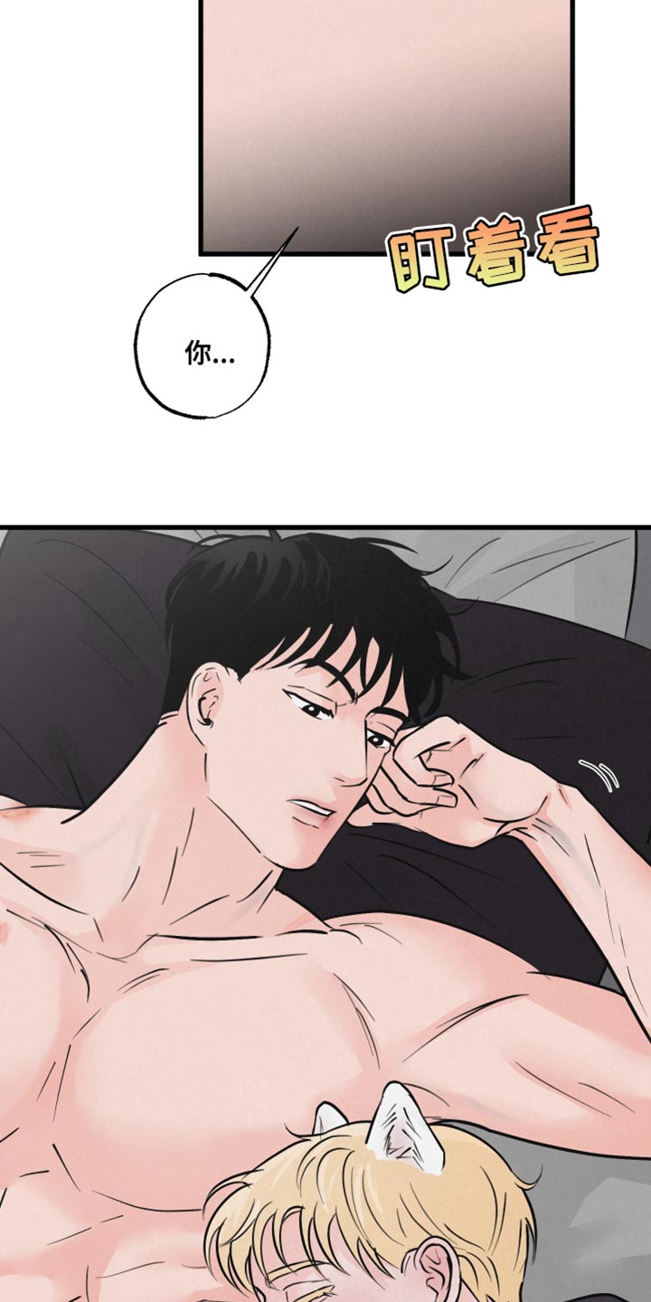 第13章：责任12