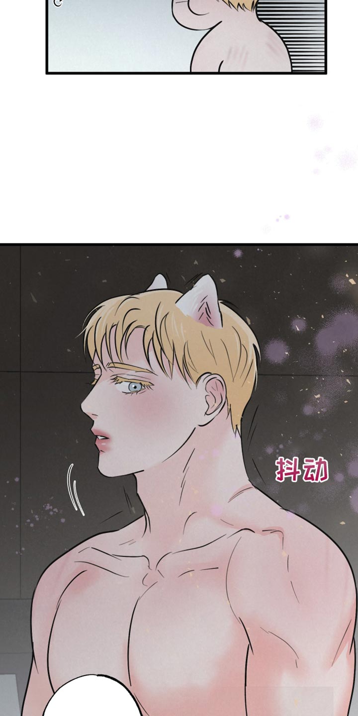 第14章：吃惊5