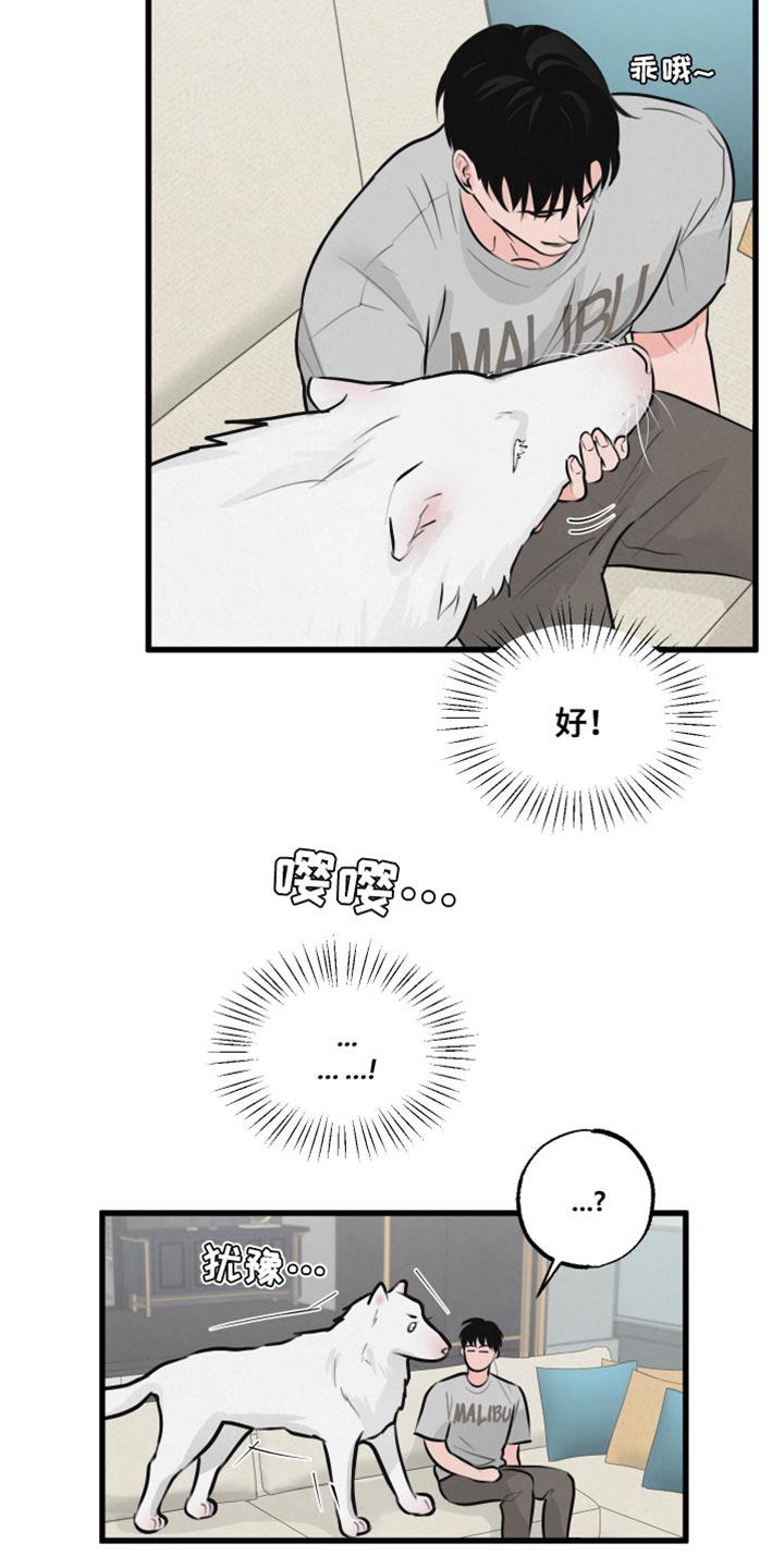 第15章：动物形状10