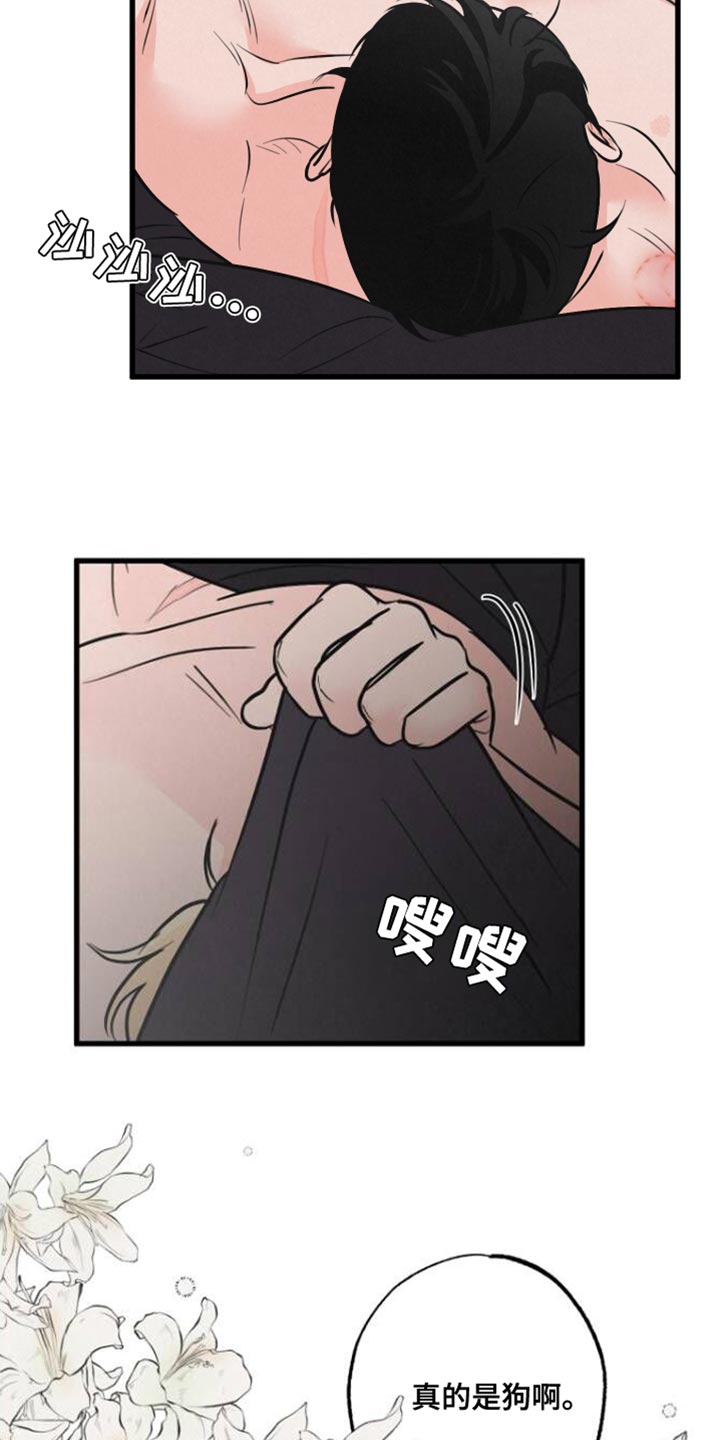 第12章：小狗6