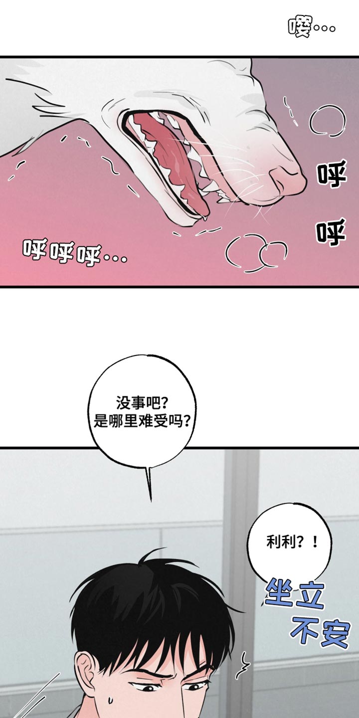 第15章：动物形状14