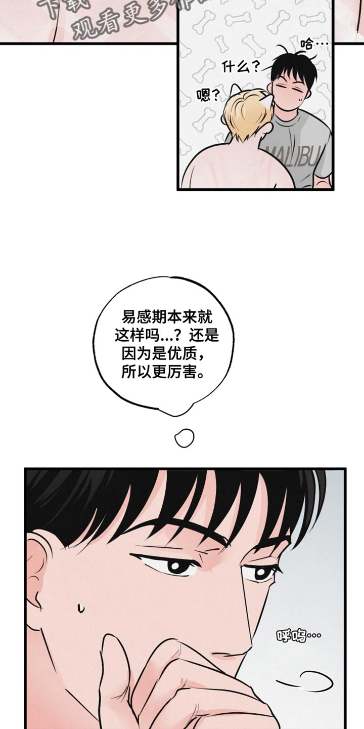 第16章：担心16