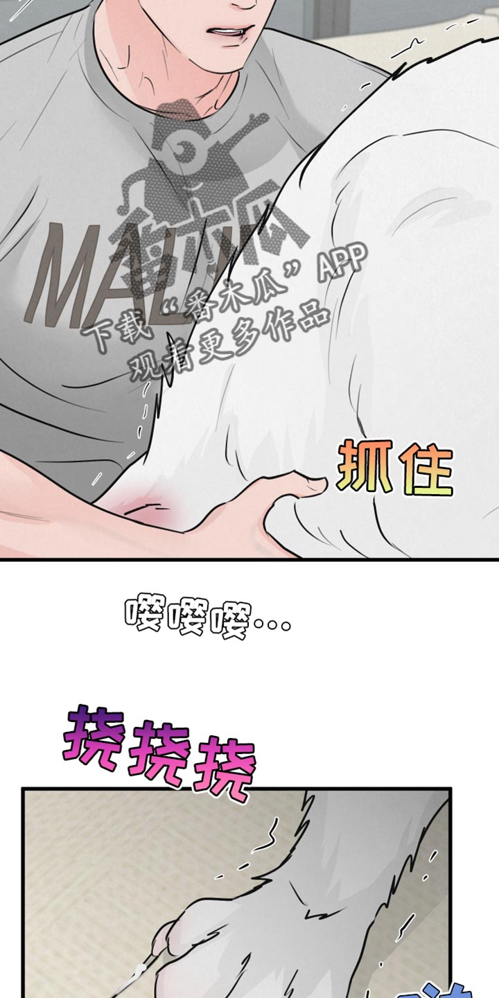 第15章：动物形状15