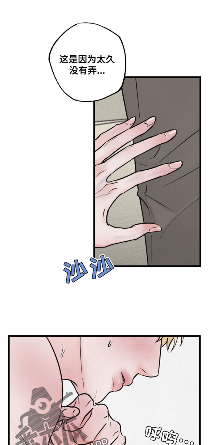 第15章：动物形状20