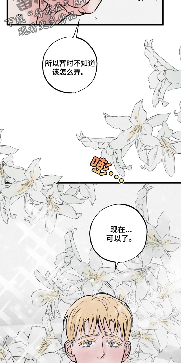 第15章：动物形状21