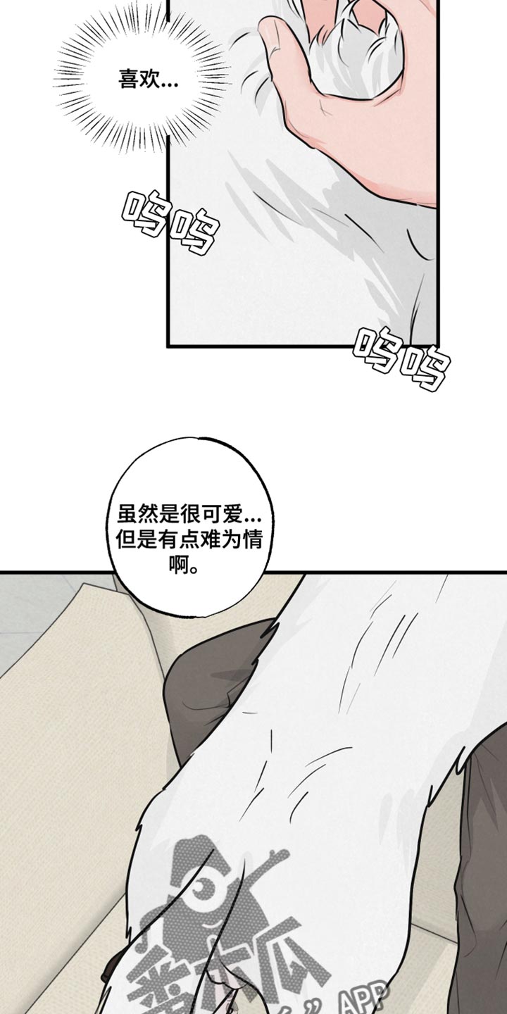第15章：动物形状7