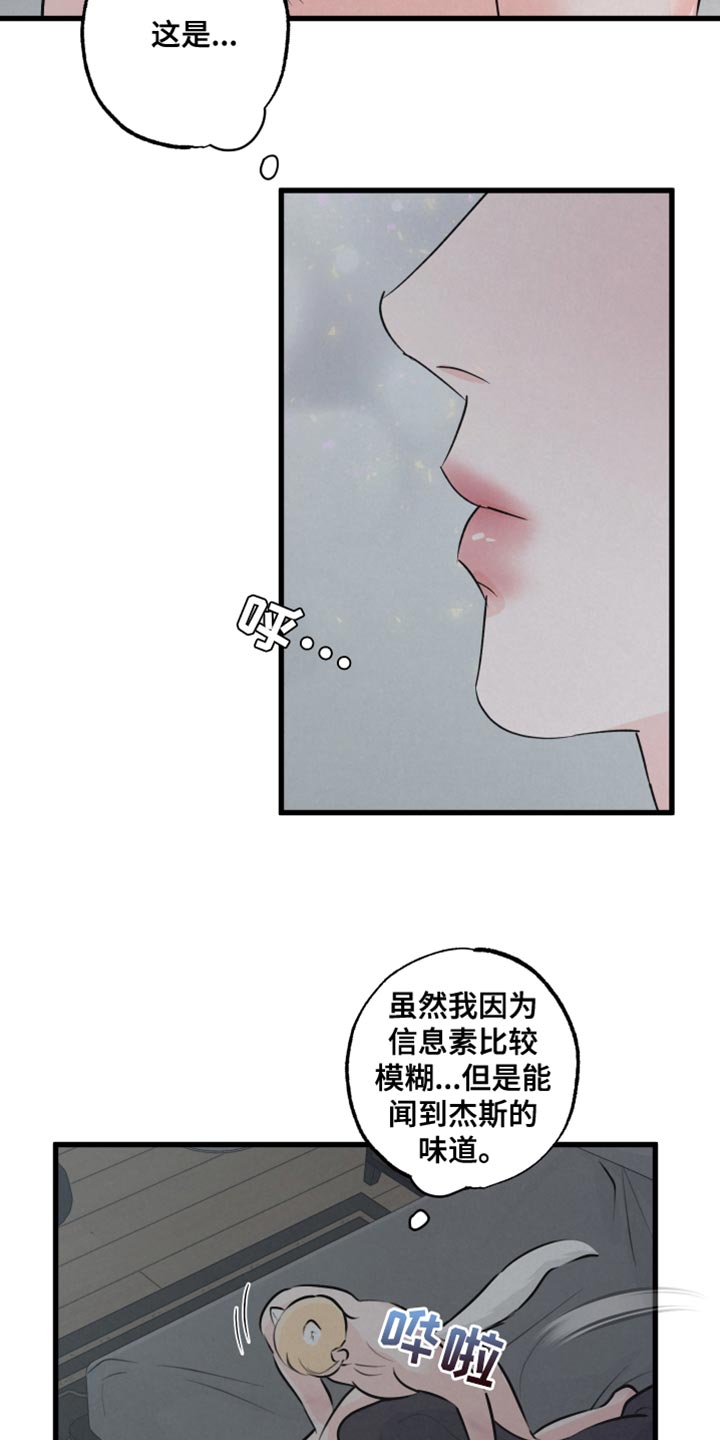第14章：吃惊6