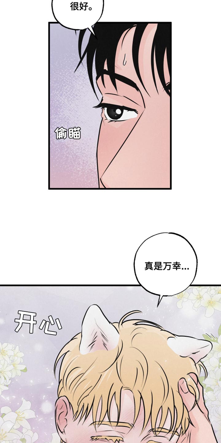 第17章：再来一次24