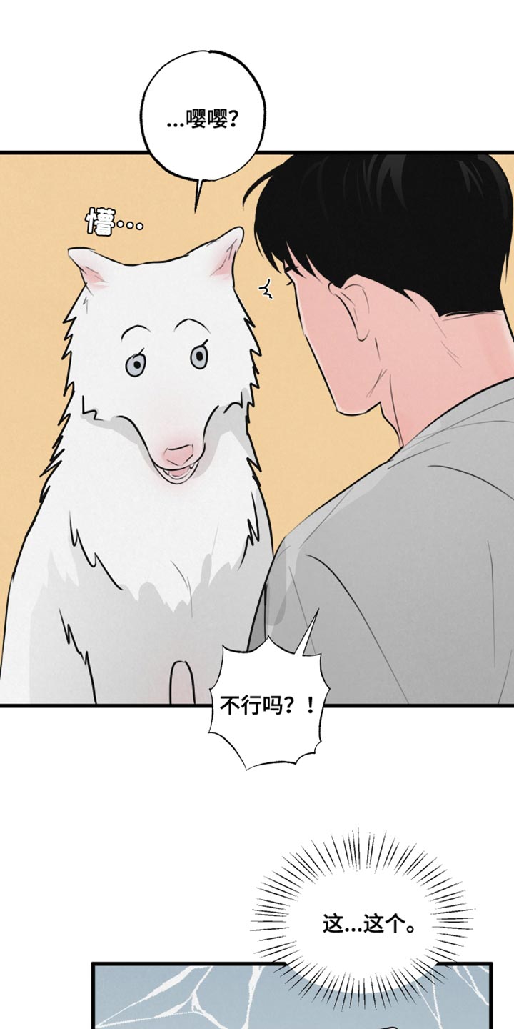 第15章：动物形状11