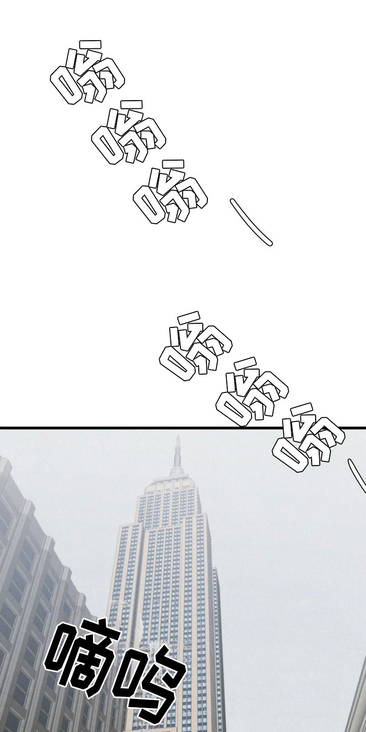第3章：去纽约15