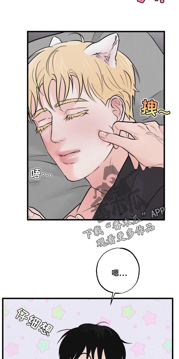 第12章：小狗15