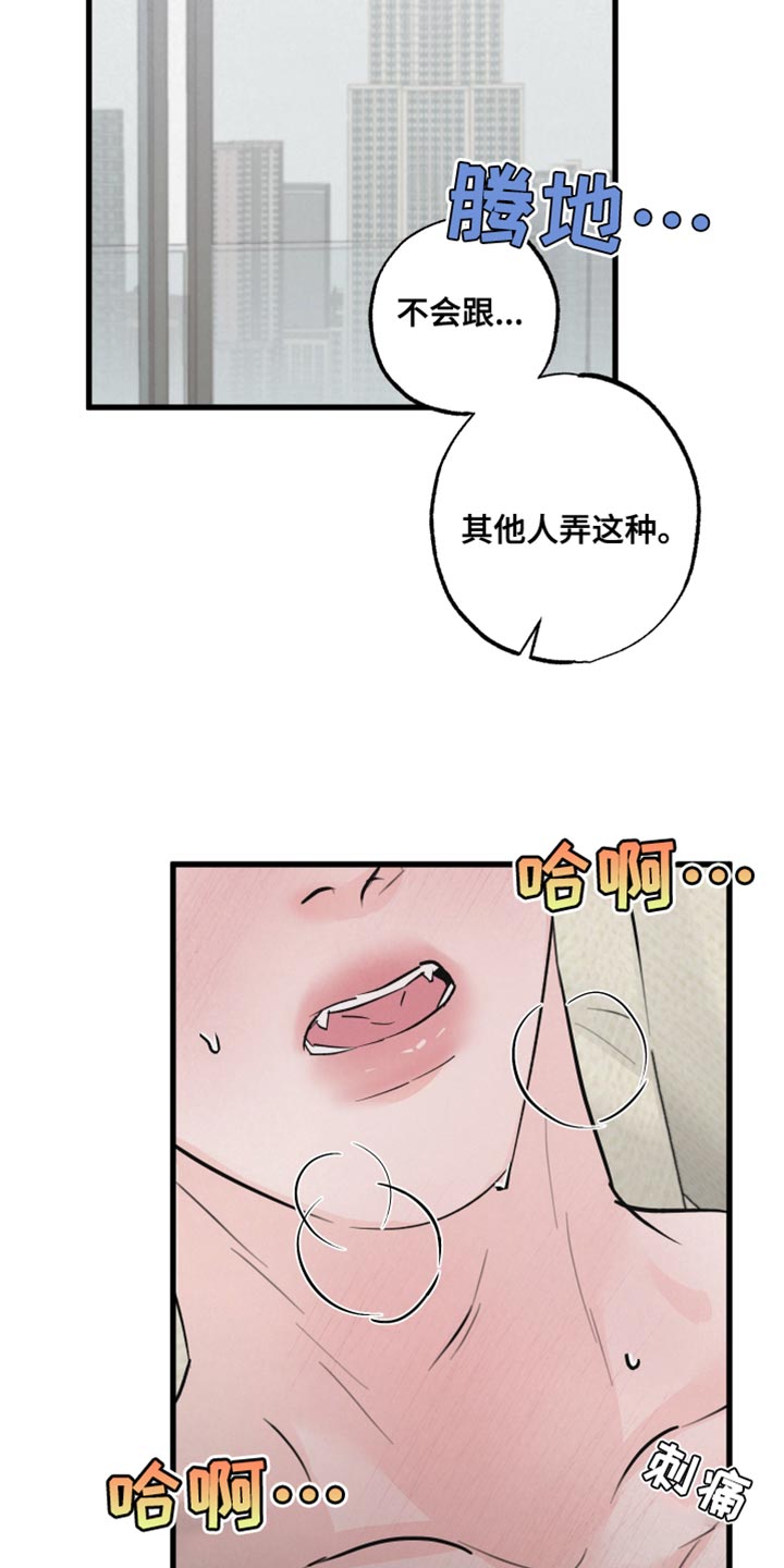 第17章：再来一次8