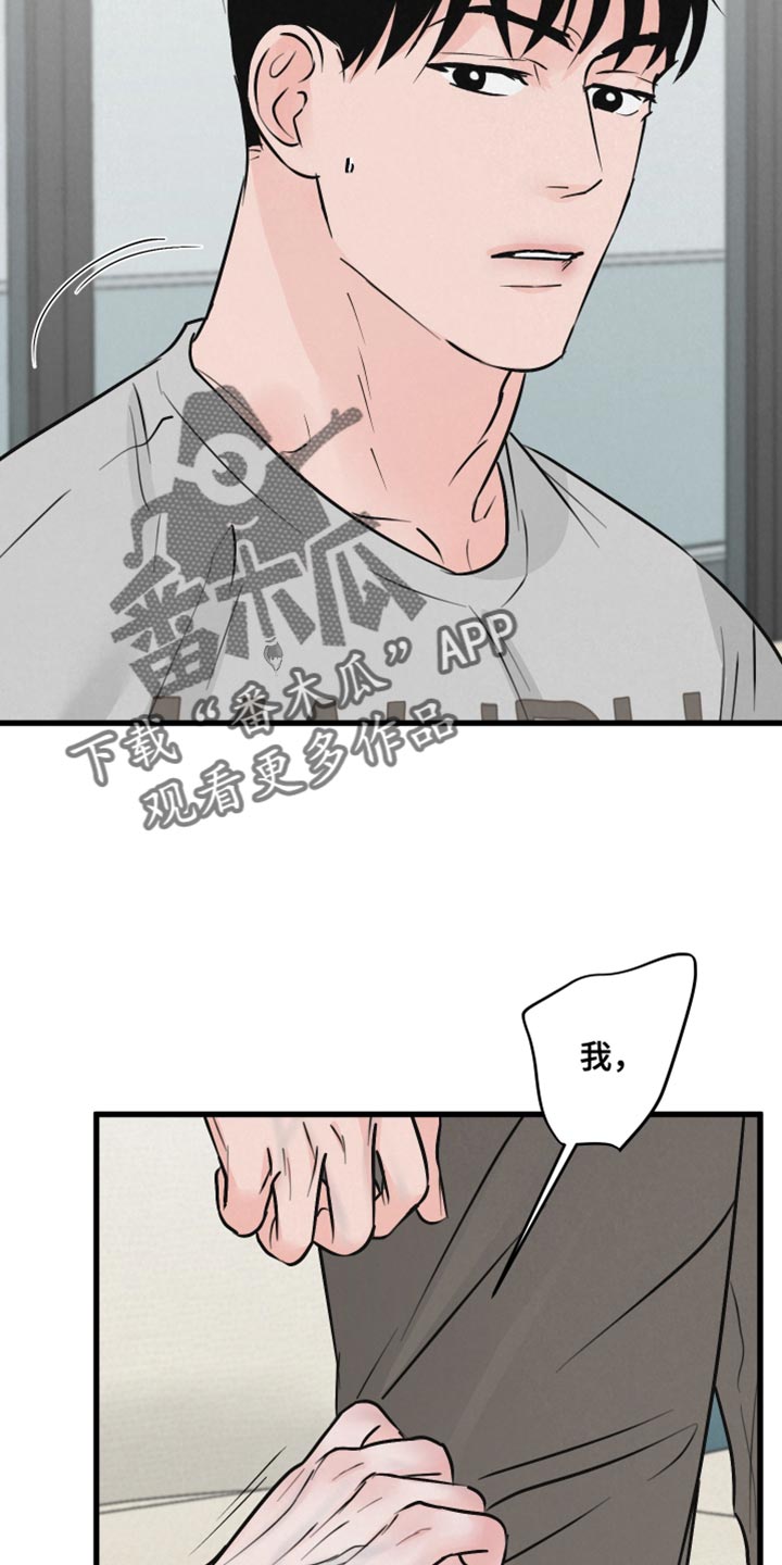 第15章：动物形状18