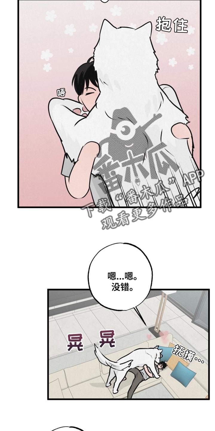 第15章：动物形状5