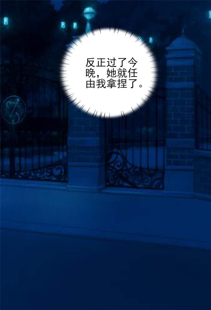 第46章： 今晚下药25