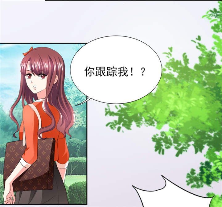 第43章： 你跟踪我？！25