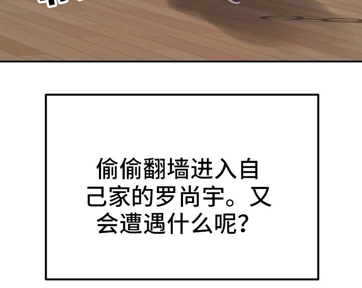 第65章：潜入24