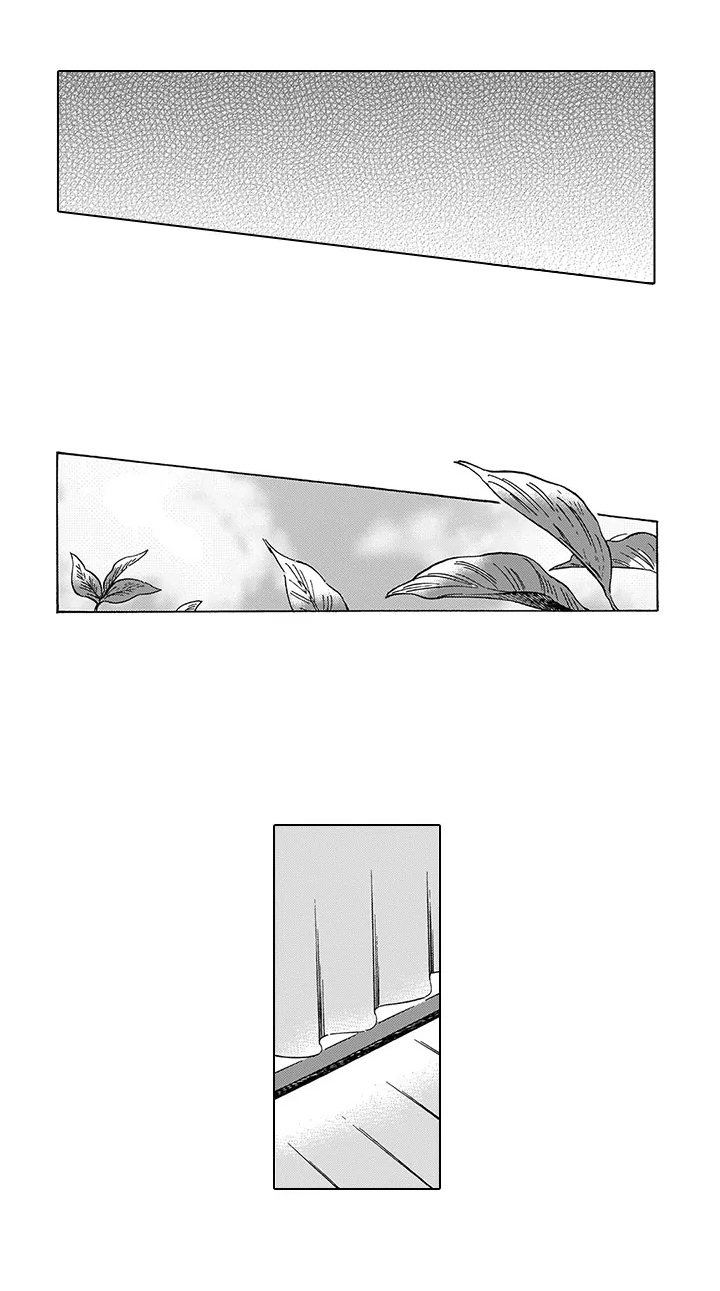 第23章：胆子大（完结）6
