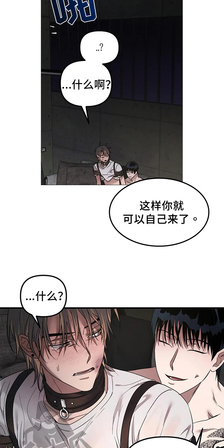 第62章：养狗：输了8