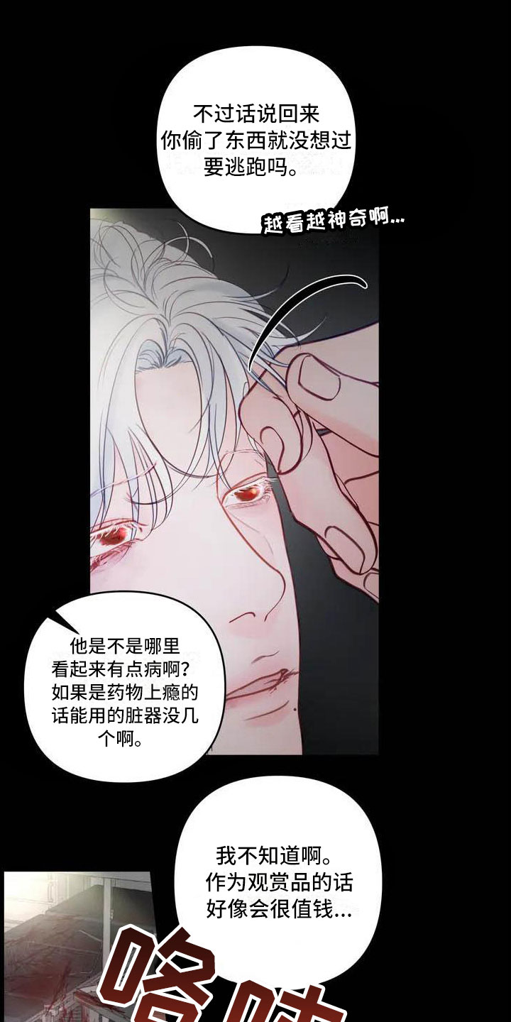 第16章：驯养：海伦5