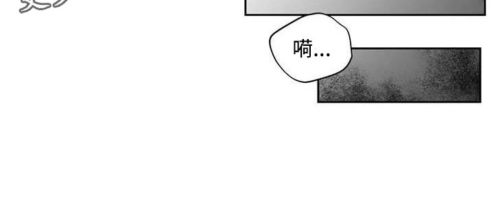 第21章：驯养：车上19