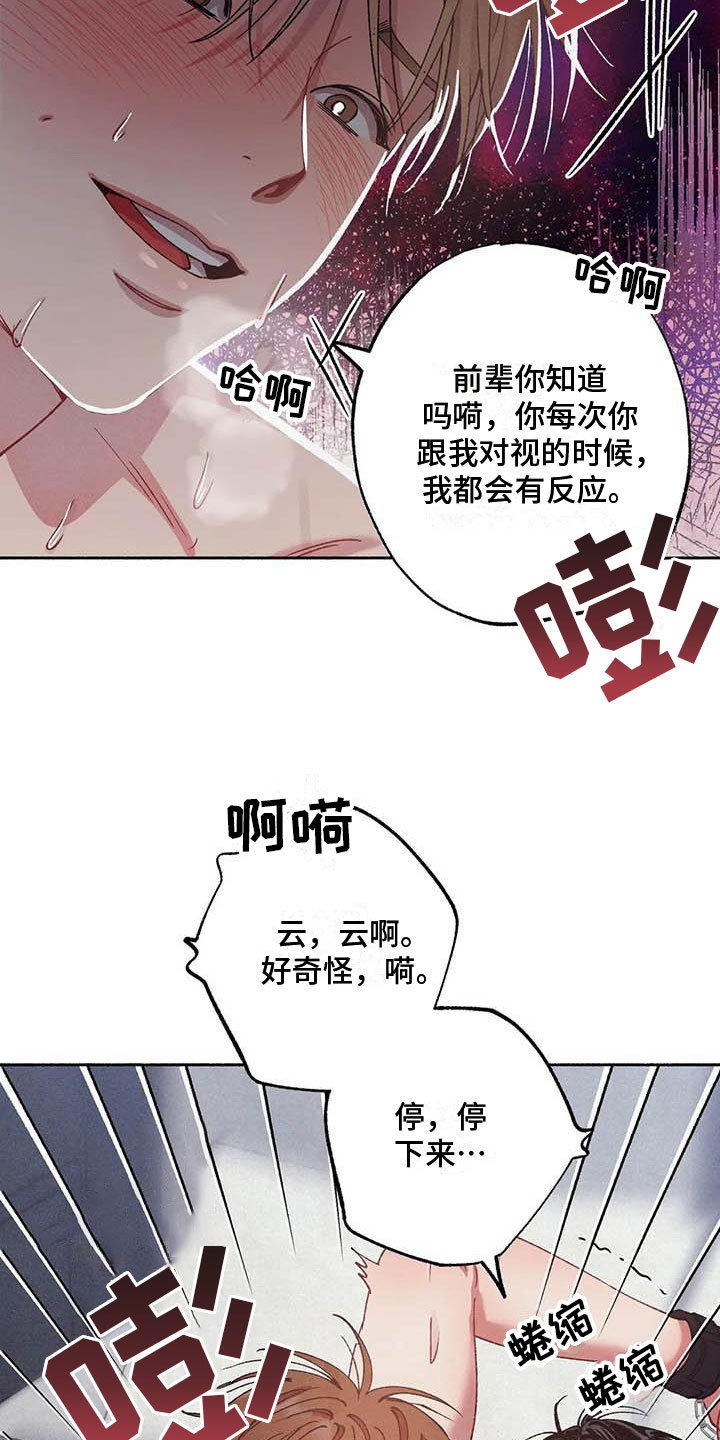 第73章：请，糖果！：诉说爱意31