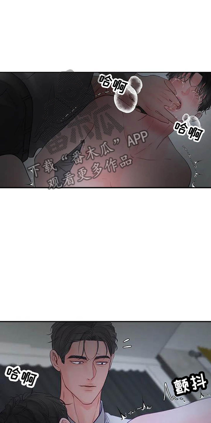 第19章：驯养：我想要的11