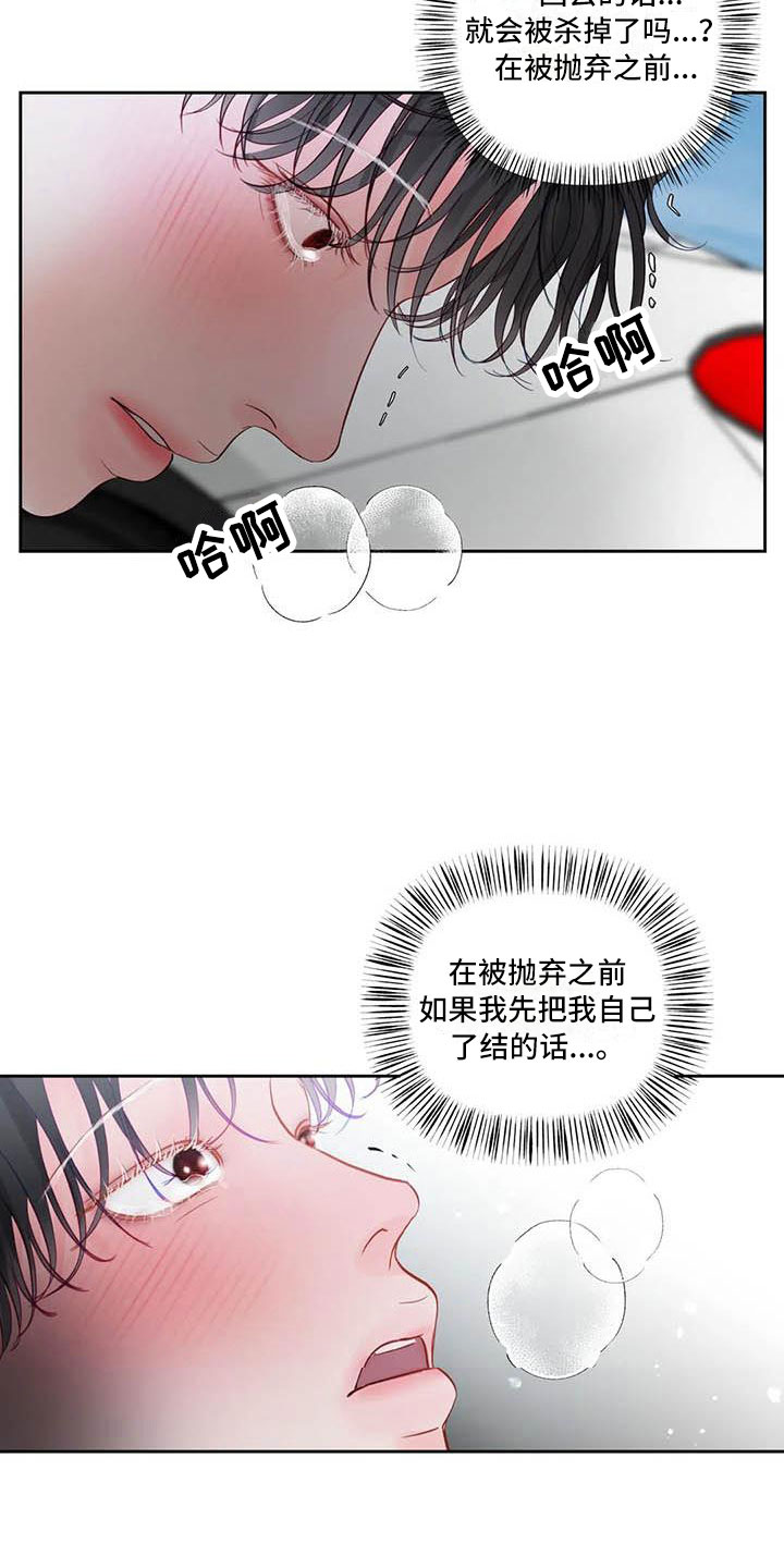 第22章：驯养：逃跑19