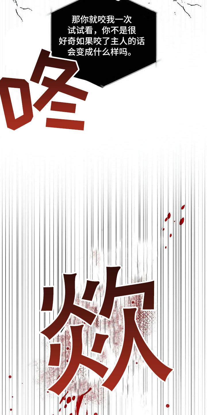 第23章：驯养：拔刀相向11