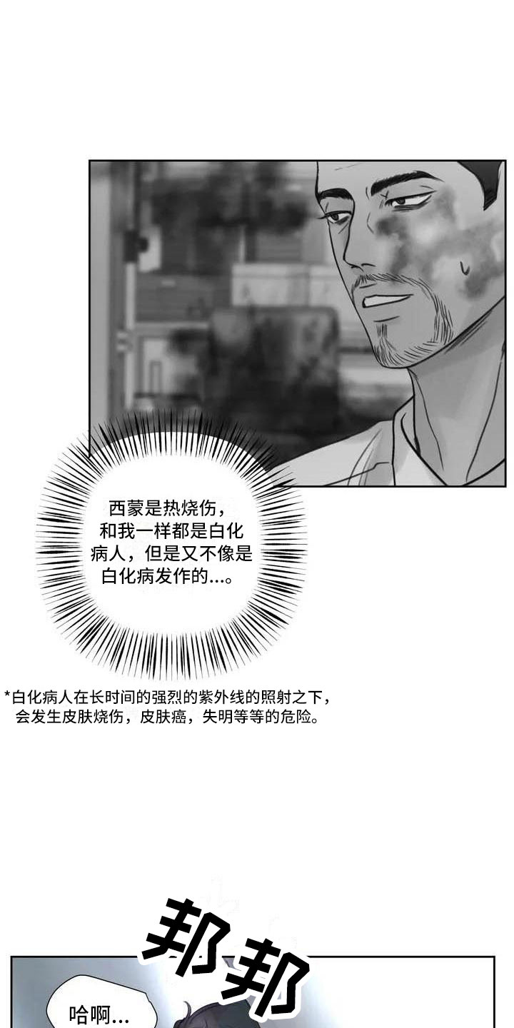 第17章：驯养：家畜11