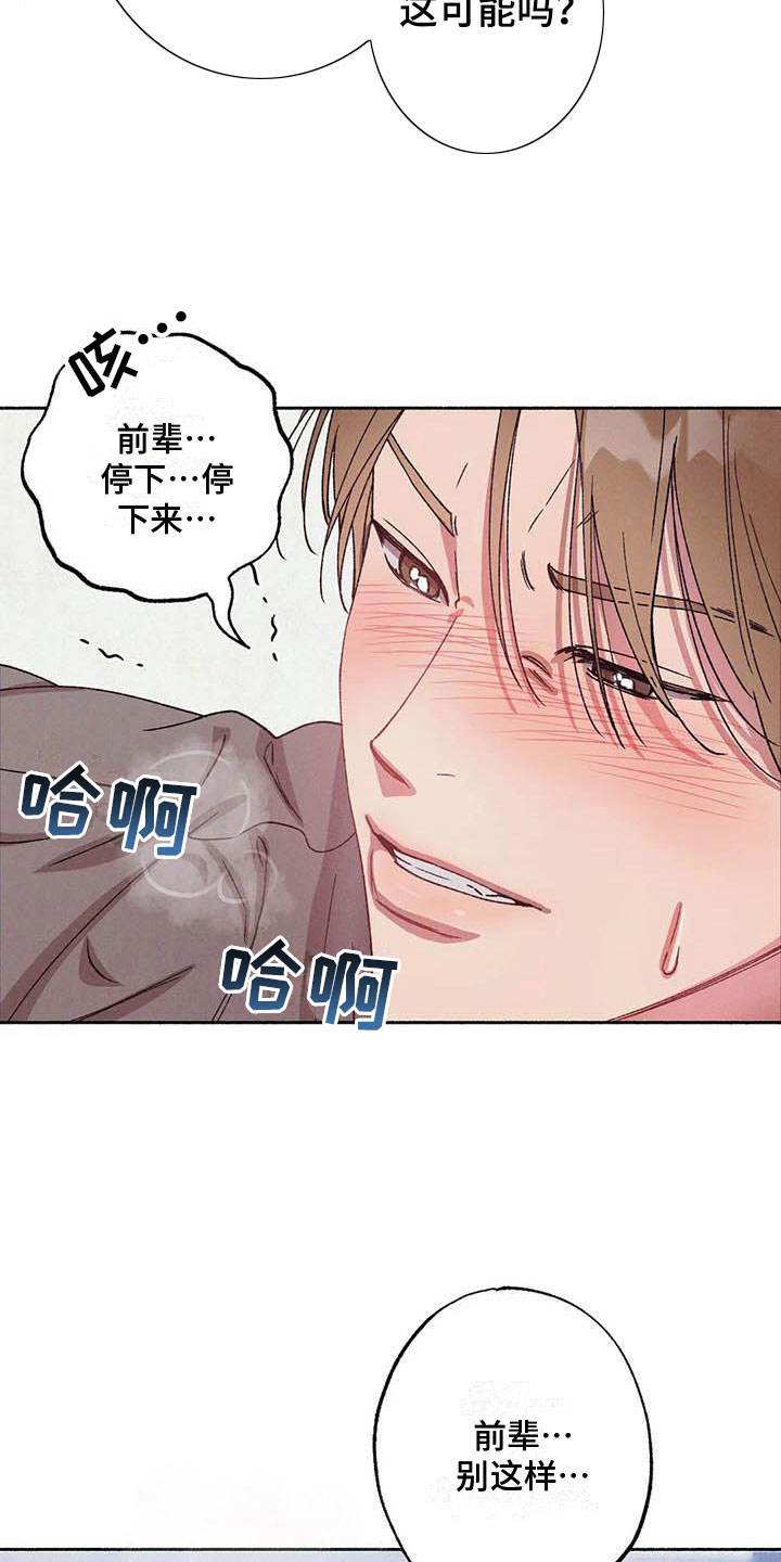 第71章：请，糖果！：失去理智19