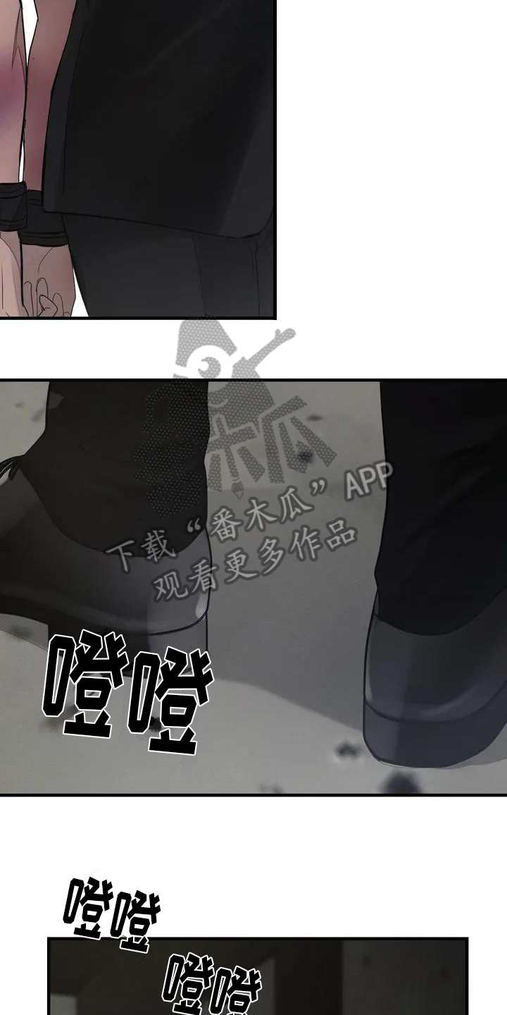 第58章：养狗：适合8