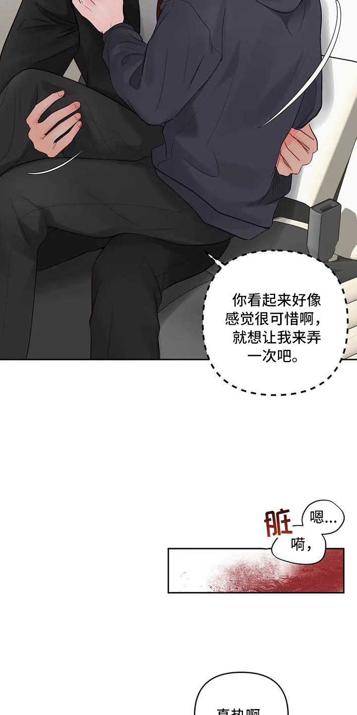 第21章：驯养：车上14