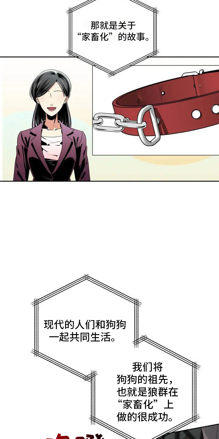 第17章：驯养：家畜19